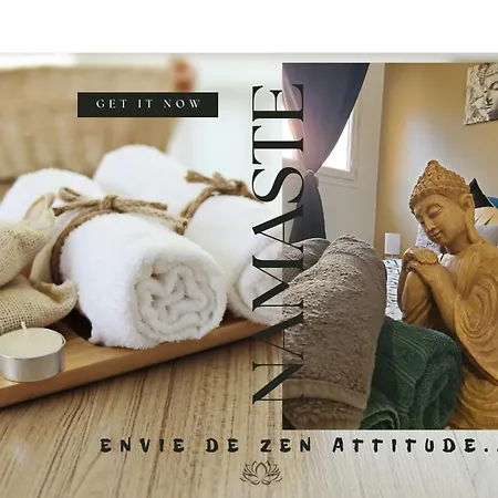 Le Namaste Charmante Maisonnette Climatisee De 45 M2 Brasles